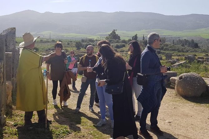 Volubilis mulay idriss and meknas tour - Food, Breaks, and What to Bring for Comfort