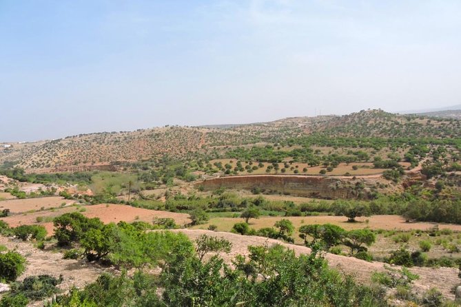 Walk between Argan Forest, Ocean & Waterfalls. 12 km - From Argan Forest to the Atlantic: the day’s big idea