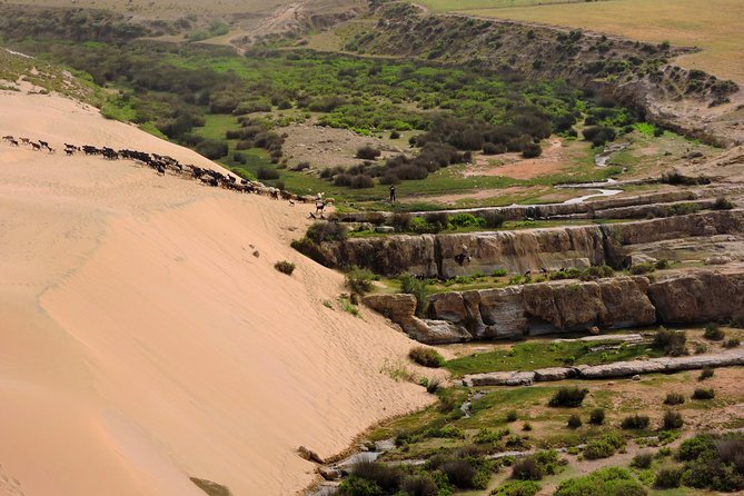 Walk between Argan Forest, Ocean & Waterfalls. 12 km - Terraced gardens to the canyon: where the scenery turns practical