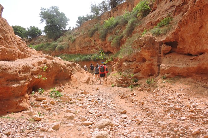 Walk between Argan Forest, Ocean & Waterfalls. 12 km - The wild beach stretch: wind, salt, and real coastline time