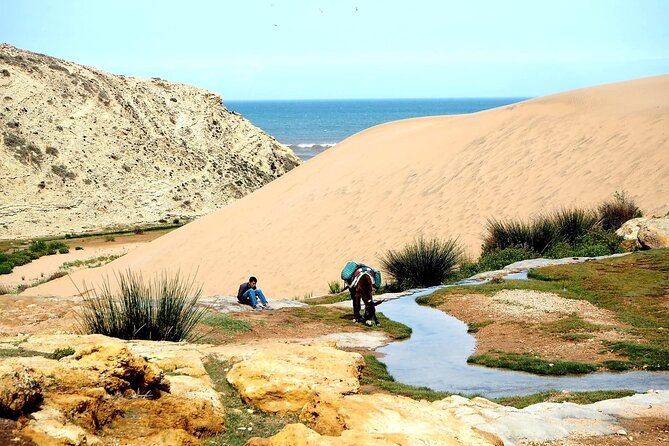 Walk to the cascade and marabout of Sidi Mbark & for a tea to Kaouki - Key Highlights You’ll Feel on the Walk
