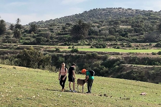 Walk to the cascade and marabout of Sidi Mbark & for a tea to Kaouki - Marabout Stop: A Small Shrine With a Serious Sense of Place