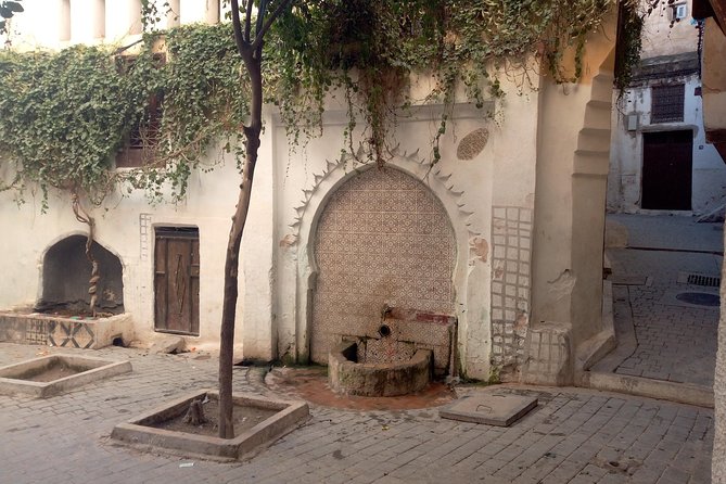walking Tour in the oldest part of Fez (3-4 hours) - Bou Inania Medersa: where architecture becomes a puzzle you can solve