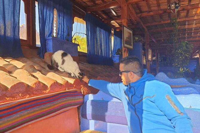 Walking Tour of Chefchaouen, the "Blue City" of Morocco - Full Day Tour - Ras El Maa Waterfall: When You Want a Scenic Stroll Option