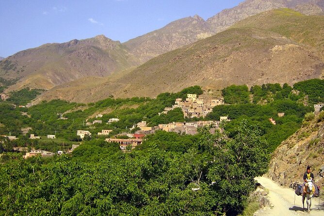 Waterfalls, Three valleys, Atlas Montains, Camels & Desert - Aroumd village lunch: food with views, not just calories