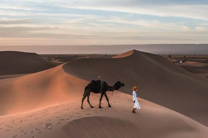 Wonderful Desert Tour From Fes To Merzouga 1 Night 2 Days - Sunrise camel ride back: early, peaceful, and worth it