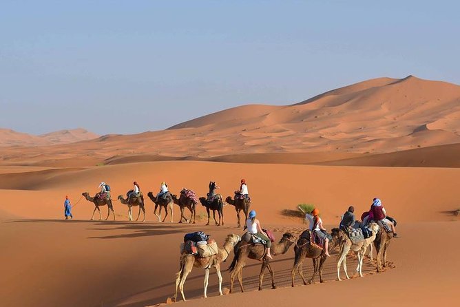 Wonderful Desert Tour From Fes To Merzouga 1 Night 2 Days - Midelt lunch break: a needed reset before Merzouga