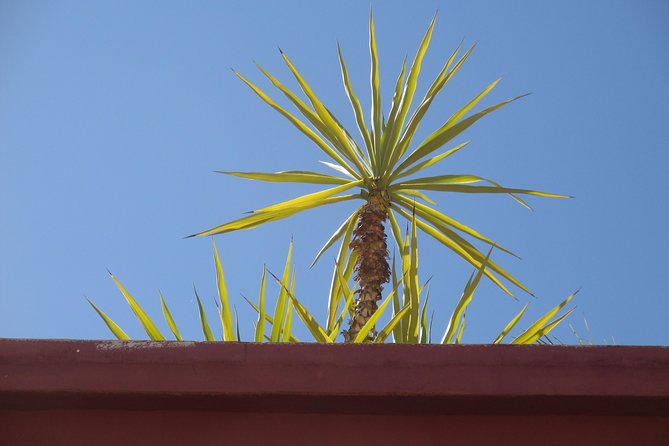 Yoga and Wellness Half-Day in an Authentic Marrakech Riad - Who this half-day works best for