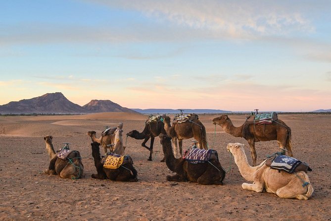 Zagora Desert and Draa Valley 2-Day Low Cost Group Tour - Marrakech pickup to the Atlas climb: what this tour really feels like