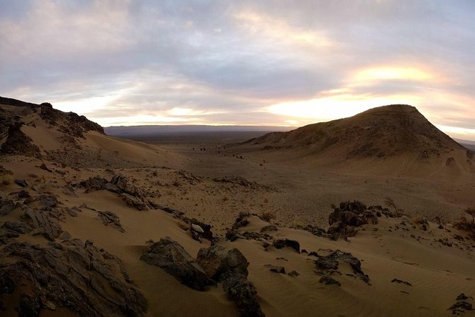 Zagora Desert and Draa Valley Day Trip From Ouarzazate - Transport and timing: how to get the most out of 10 hours