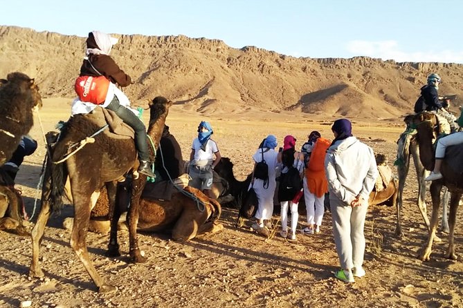 Zagora Desert Highlights: Guided 2-Day Tour from Marrakech - The Big Picture: Why Zagora Works as a Marrakech Desert Escape