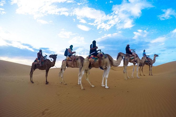 Zagora Desert Tour 2 days 1 night from Marrakech - Key Things That Make This Tour Worth Your Time