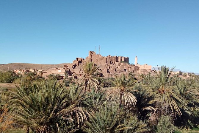 Zagora Desert Tour 2 days 1 night from Marrakech - Camp Night in the Tinfou Desert: The Part You Can’t Fake