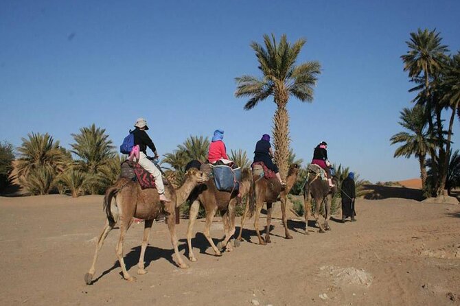 Zagora & Kasbahs 2 Day Desert Tour from Marrakech - Price and Logistics: Does $115 Get You the Desert Experience?