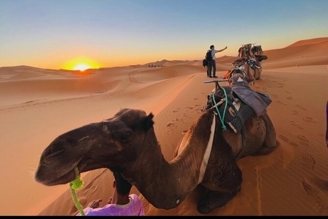 Zagora M’hamid, 3 Days Tour to Erg Chigaga Desert from Marrakech - Zagora’s Desert Gate overnight: setting the rhythm
