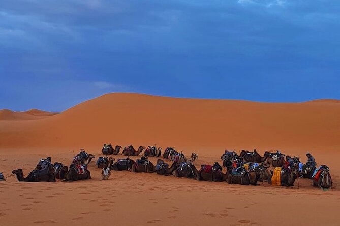 Zagora M’hamid, 3 Days Tour to Erg Chigaga Desert from Marrakech - Price and value: what $929.16 covers in a 3-day desert route
