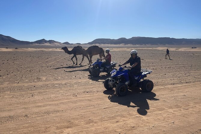 Zagora Quad - Quad Excursions - Key things that make Zagora Quad worth your time