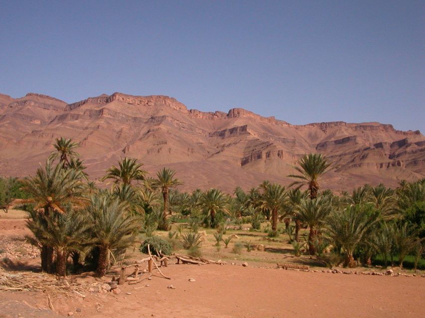 Zagora Sahara Desert Overnight Trip from Ouarzazate - The 1000 Kasbahs Road and Draa Valley: Fortress Villages on the Way In