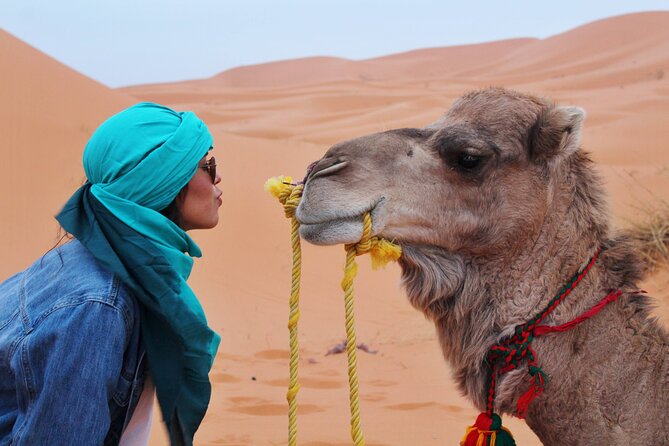 Zagora to Erg chigaga desert tour & 4x4 and camel ride - Erg Chigaga at Sunset: Camel Time on the Biggest Dunes