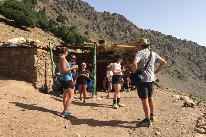 Zipline Adventure and hike in the Atlas Mountains - Argan Oil Cooperative Stop: Why This Brief Cultural Detour Matters